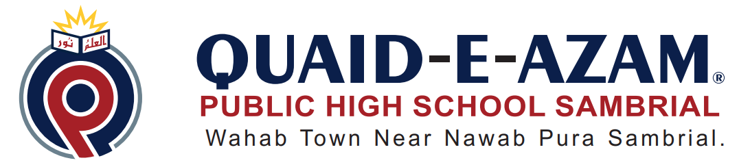 School Logo